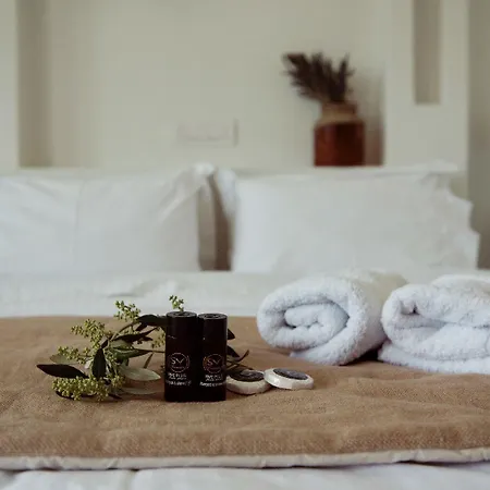 Alisachni Andros * Agia Eleousa