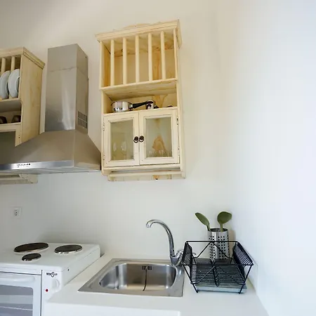 Alisachni Andros Διαμέρισμα Αγία Ελεούσα