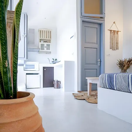Apartment Alisachni Andros *