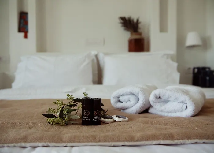 Alisachni Andros * Agia Eleousa