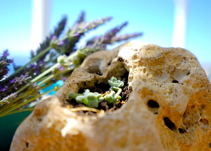 Alisachni Andros Agia Eleousa