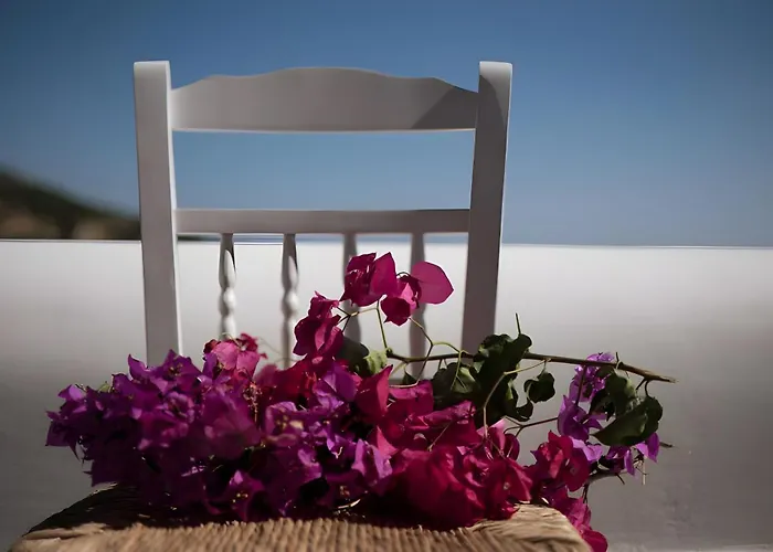 דירה Alisachni Andros Agia Eleousa