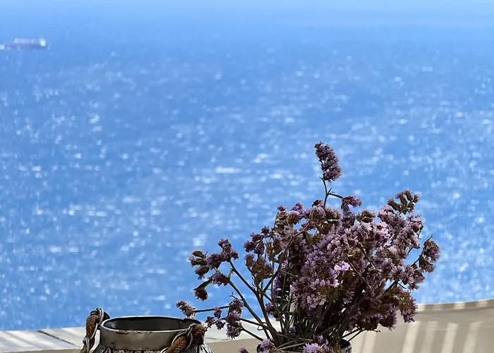 Alisachni Andros Lägenhet Agia Eleousa